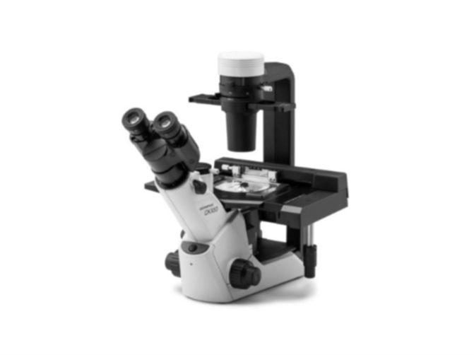 Inverted Fluorescence Microscope